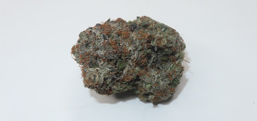 Purple OG value buds at the best online weed dispensary in Canada for mail order marijuana. cheapweed. buy weed online.