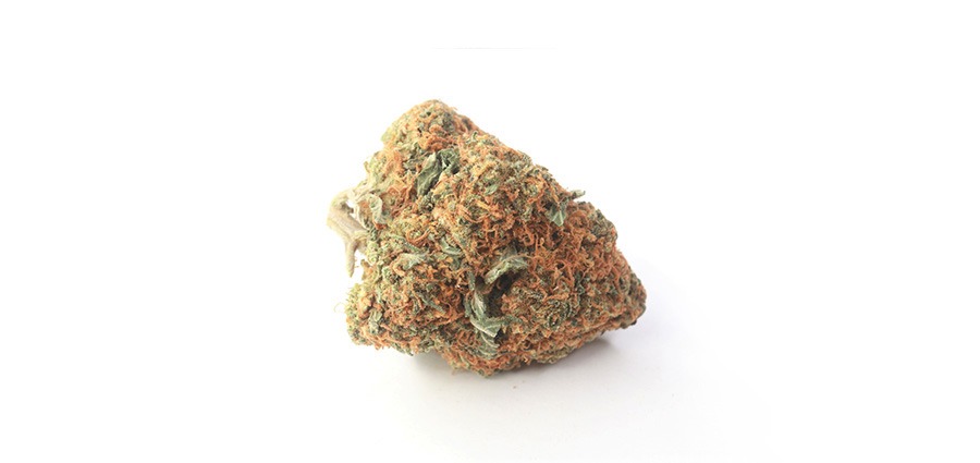 King Tut weed online Canada from My Green Solution online dispensary. weed delivery in Canada. mail order marijuana.