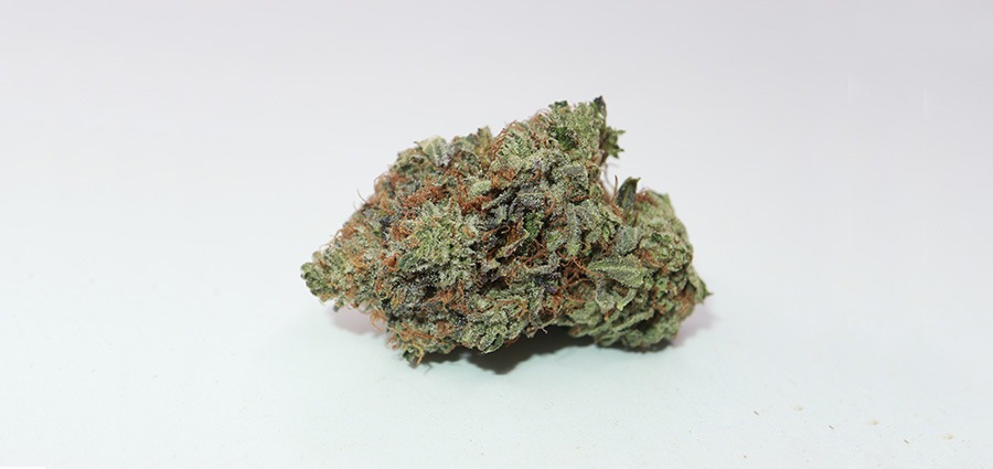 Master Kush Ultra (MKU) weed online from My Green Solution online weed dispensary Canada.