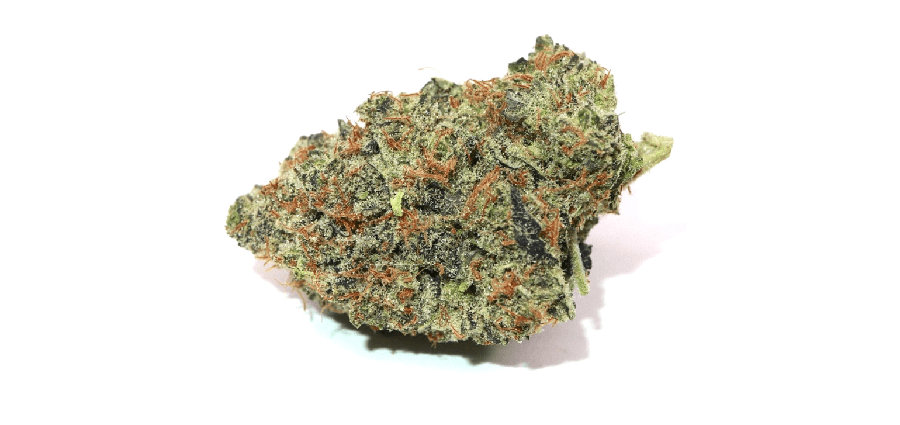 Mango Sapphire budget bud for weed delivery in Langley. Online dispensary for cheap weed value buds. BC cannabis.