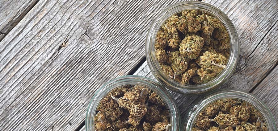 Value buds in glass jars from online dispensary for BC cannabis My Green Solution. Weed delivery in Langley, same-day. Dispensary in Langley. BC. Buy weed online.
