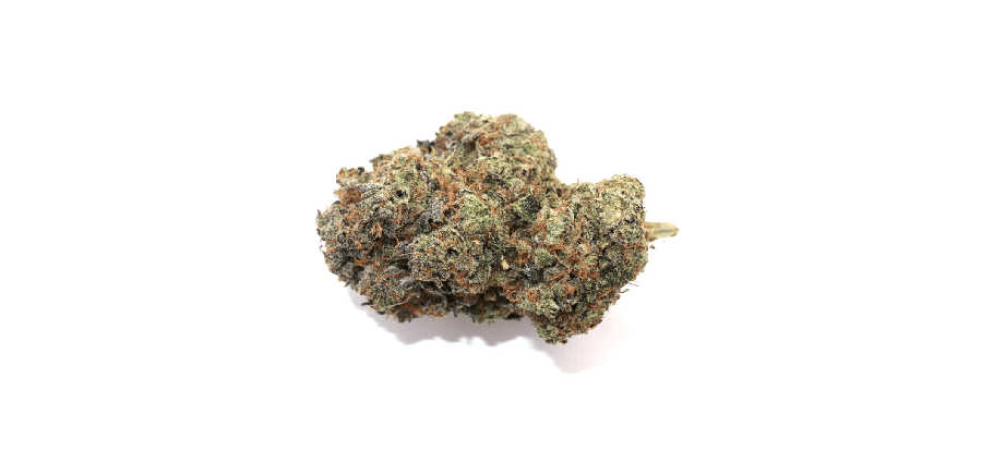 Ghost train Haze value buds from online dispensary Vancouver with weed delivery in Surrey. Buy weed online. fast weed delivery near me.