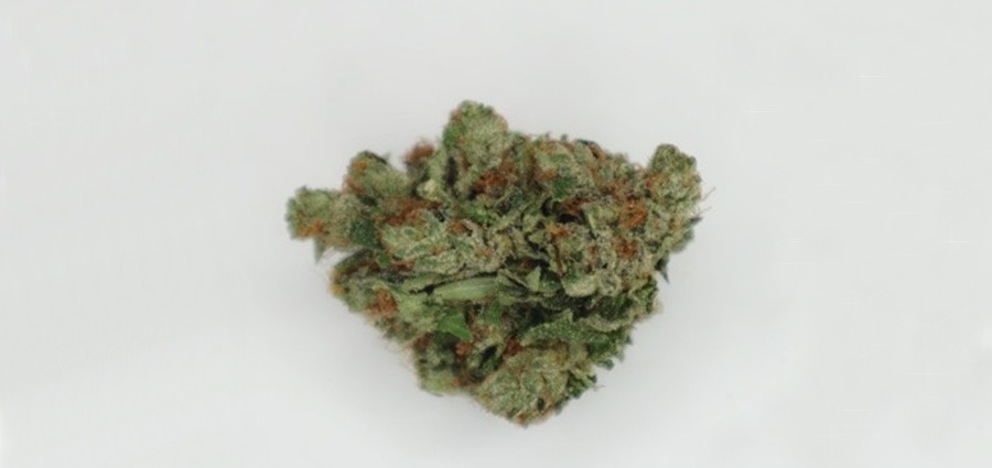Pink Rockstar weed online Canada. Small Buds, cheap weed, and value buds for same-day weed delivery in Surrey BC.
