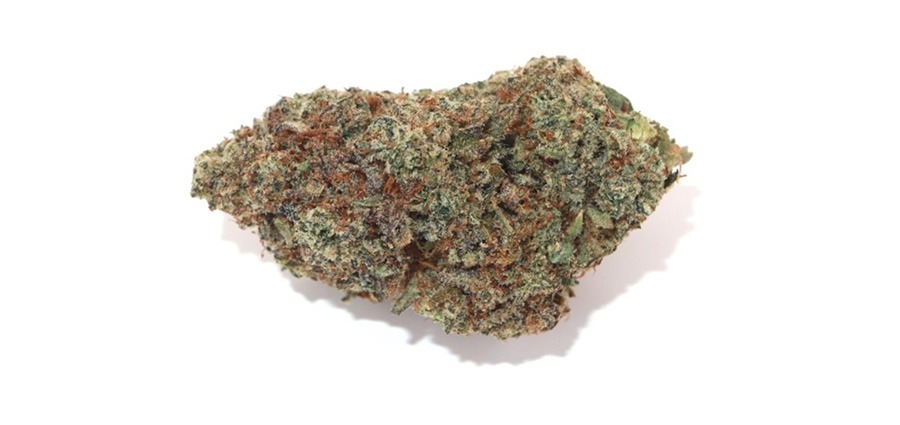 Frosted Fruit Cake weed online Canada. BC bud online from My Green Solution weed store for mail order marijuana.