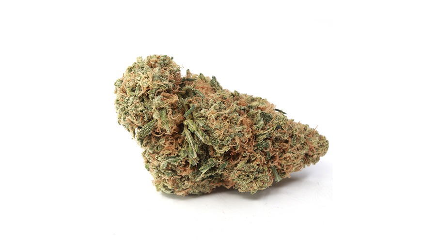 wedding cake bud review | My Green Solution