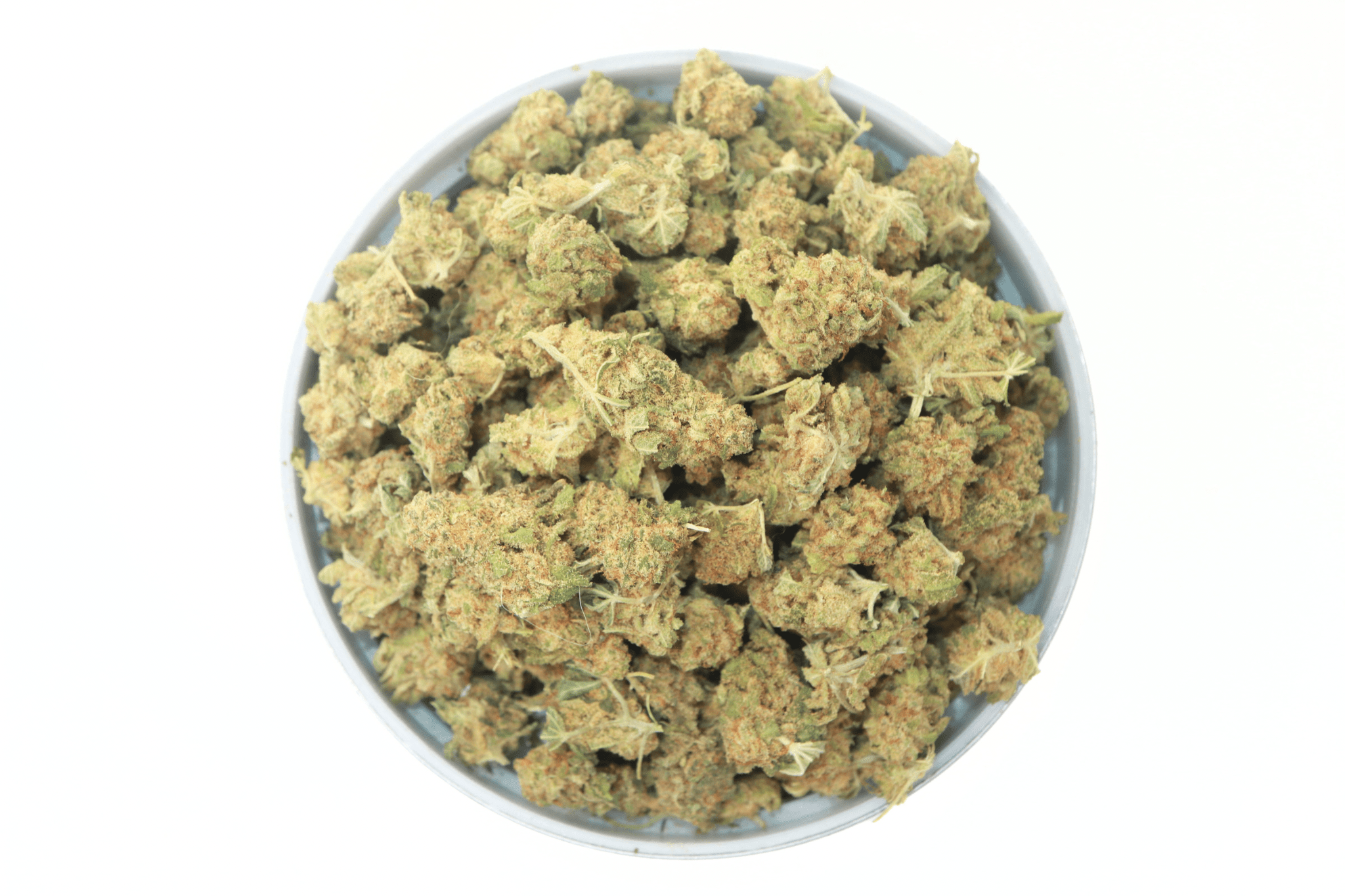 F963846C-7D87-410F-BCD3-2CBD417485DA