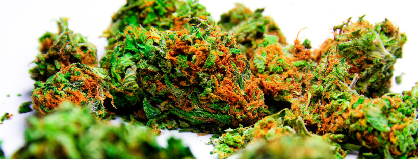 High Grade Cannabis Appearance