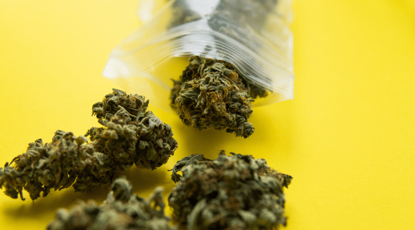 How To Find Online Dispensaries That Have Fast Weed Delivery in Surrey