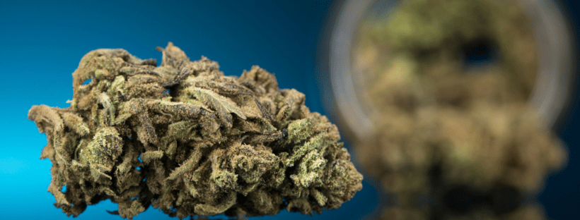 How To Order Fast Weed Delivery In Surrey