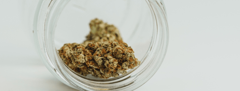 Search For Nearby Dispensaries
