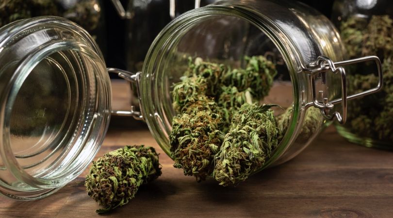 Where to Store Cannabis to Keep It Fresh