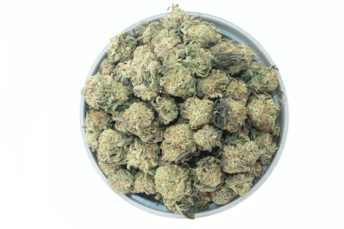 MAC V2 SMALL BUDS | My Green Solution