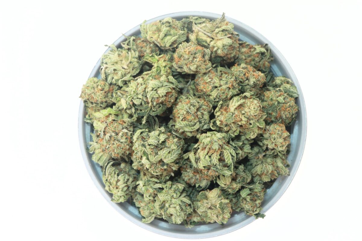 PINK PAPAYA SMALL BUDS | My Green Solution