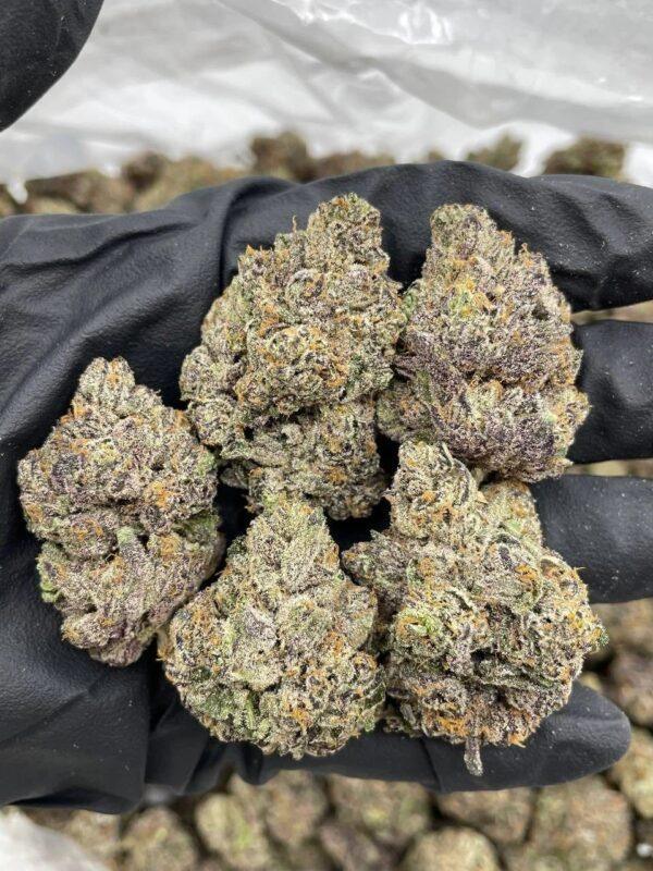 Purple Fun Dip- MGSIO