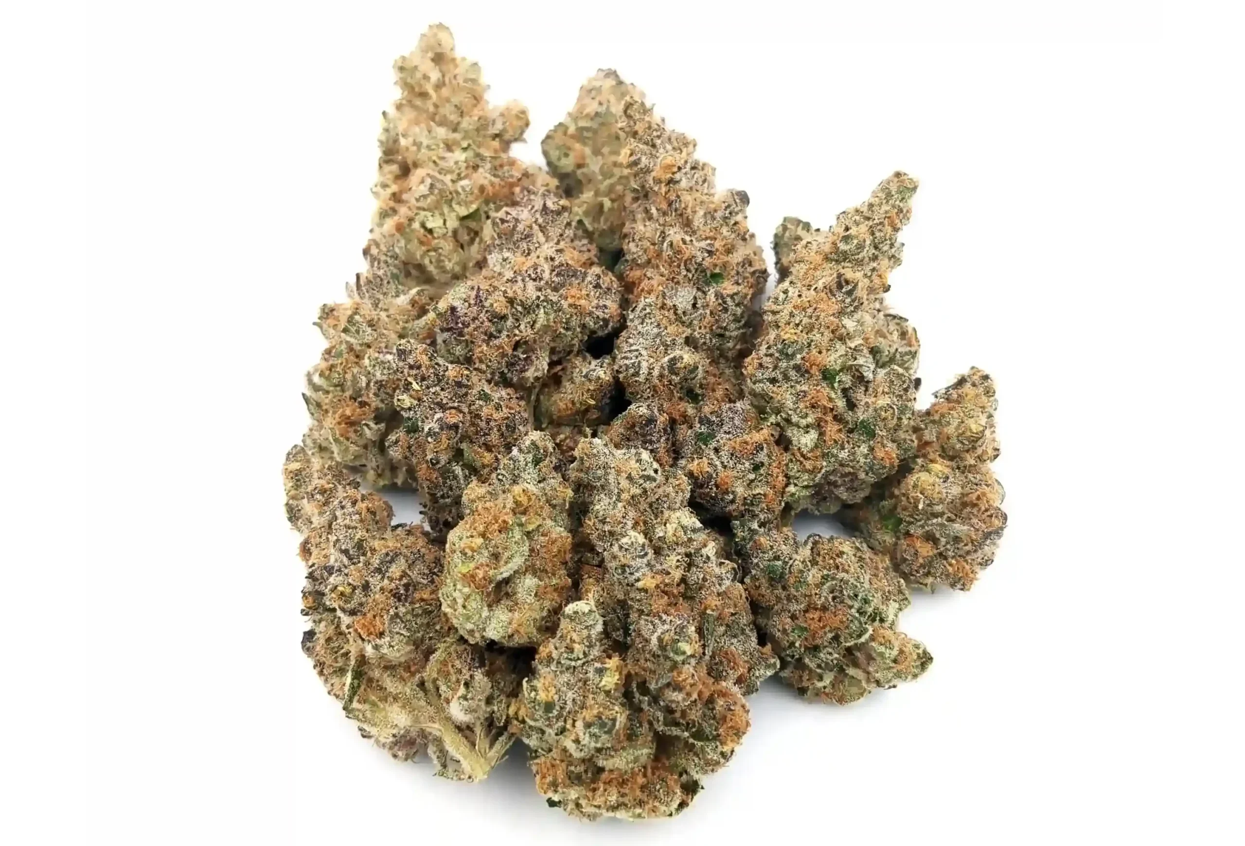 superboof22-scaled-e1772055018207