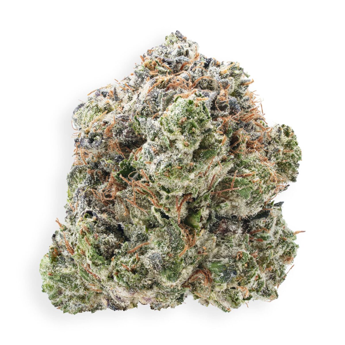 Coastal Pink LED Grown
