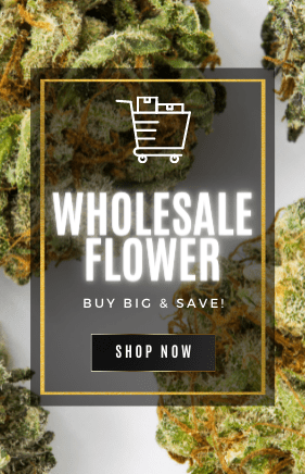 Wholesale Banner Rev 281 × 436 px | My Green Solution